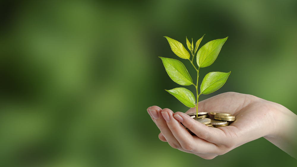 انتخاب بهترین نام برای موسسه خیریه